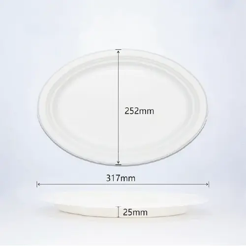BioBox Sugarcane 9&quot;x 11&quot; Oval Plate (500pcs) (can be sold separately in packs of 50)