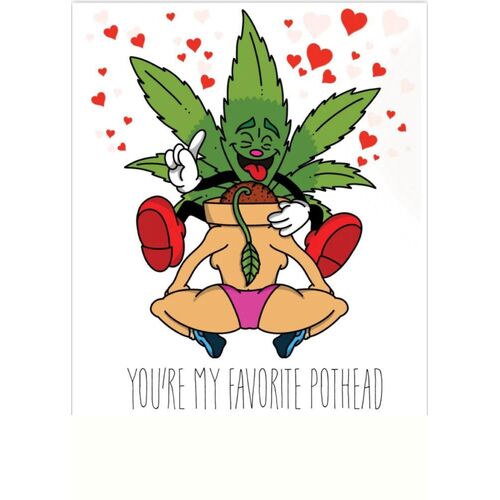 Your my favourite pot head - 5pk